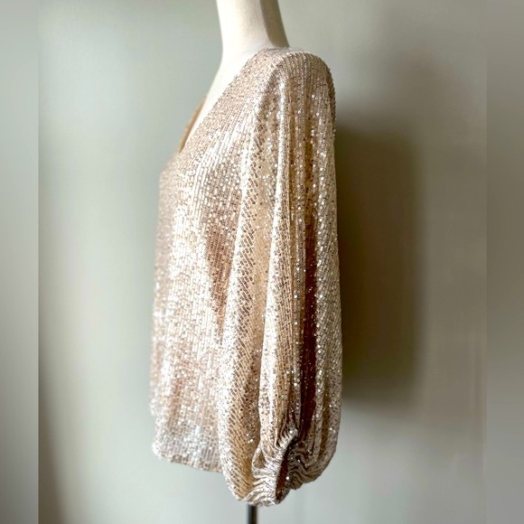 Vine & Love | V-Neck Sequin Blouse with Balloon Sleeves | Champagne | Small - Picture 4 of 5